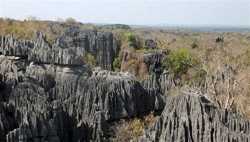 Гранд Цинги