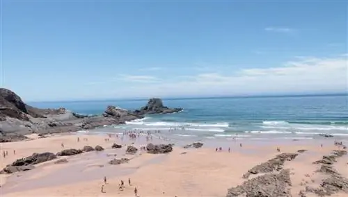 Замбужейра-ду-Мар