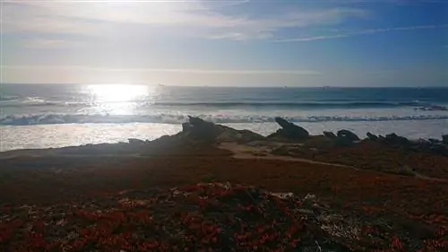 Откройте для себя побережье Алентежу