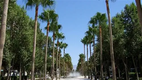 Идеальные направления для конца лета