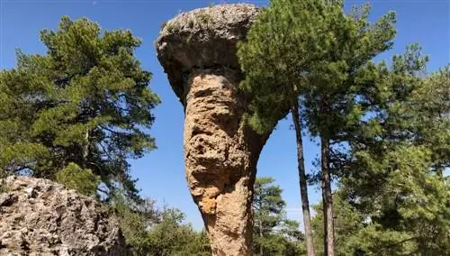 Зачарованный город