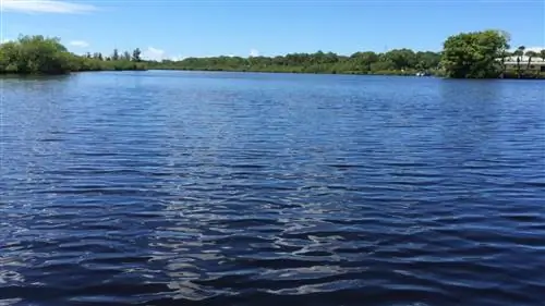 Самые длинные реки в мире