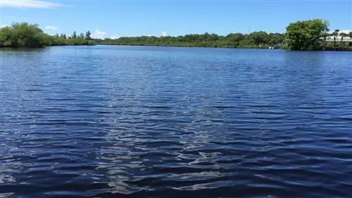 Это 5 самых длинных рек в мире