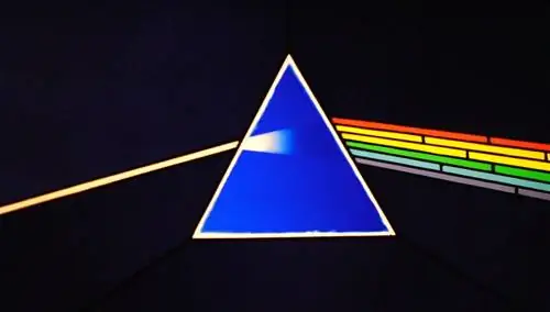 Выставка Pink Floyd - их бренные останки