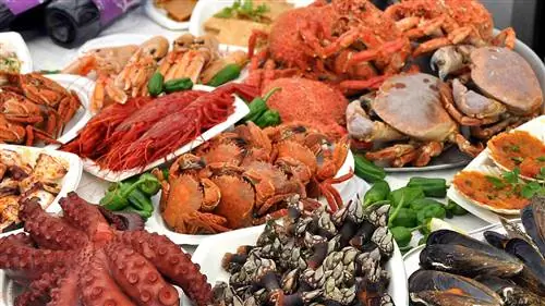 Галисийские морепродукты