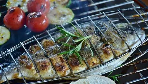 Морской лещ
