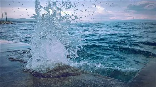 Направления для любителей моря