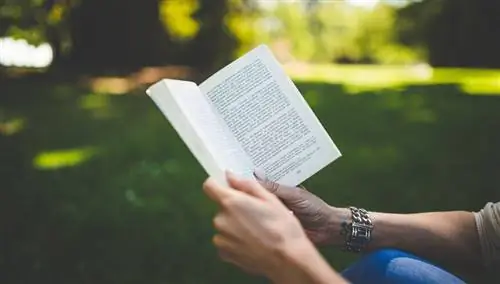 читать книгу