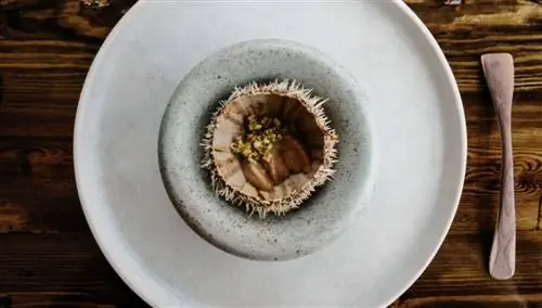 Морской еж
