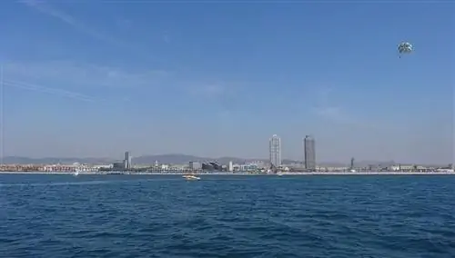 Водные виды спорта Водные виды спорта