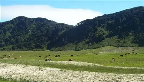 Остров Мокко