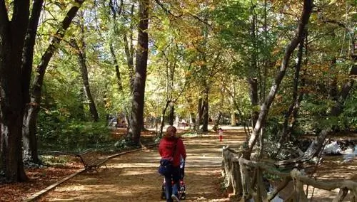 Вальядолид