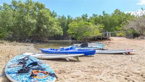 Жерикоакоара