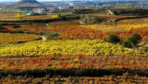 Риоха Альта