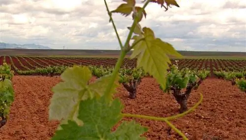 Река Гвадиана