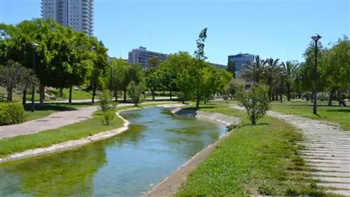 Старое русло реки Турия