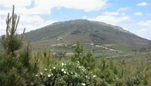 Пейзажи Время спустя