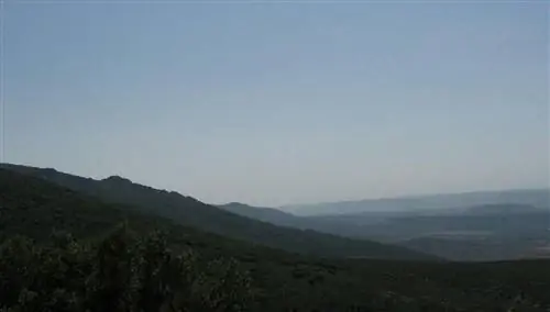 Пейзажи Время спустя