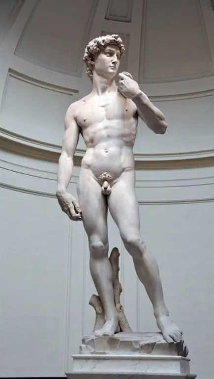 Галерея Академии