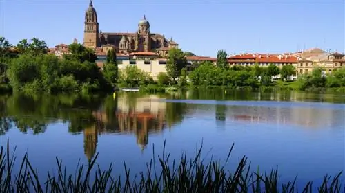 Почему в соборе Саламанки космонавт?