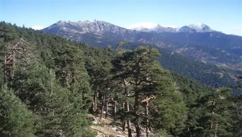 Сьерра-де-Гуадаррама