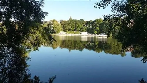 Халензее
