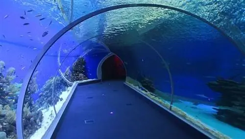 Эйлат