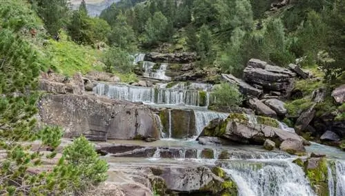 Арагон Арагон