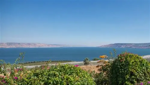 Тивериадское озеро