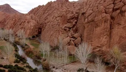 Долина Дадес