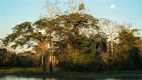 Ландшафтный заповедник Нор Яуйос Кочас