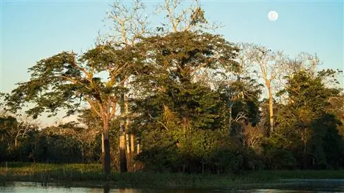 Пять особенных мест в Перу, о которых мало кто знает