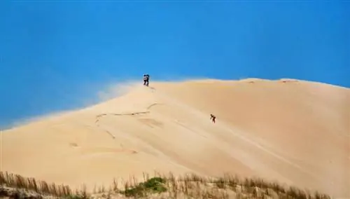 Мыс Полонио