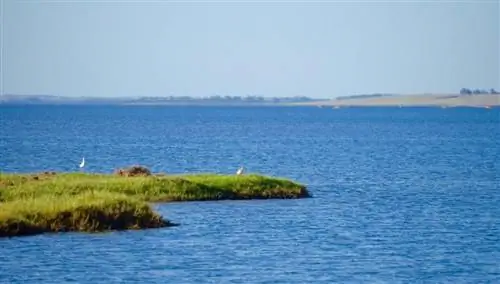 Лагуна Гарсон