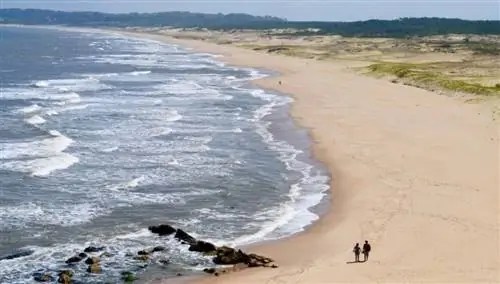 зеленый холм