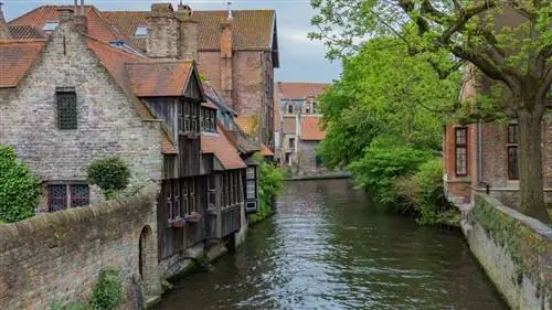 8 вещей, которые нужно сделать, если поедете в Брюгге