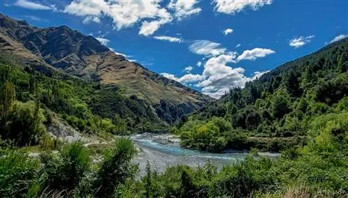 Новая Зеландия