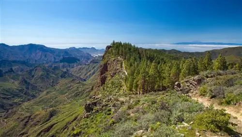 Гран-Канария