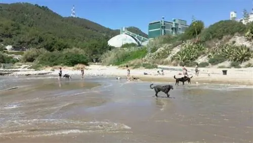 Кала Валькарка, Сиджес