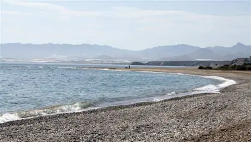 Пляж Лас Морерас, Масаррон, Мурсия