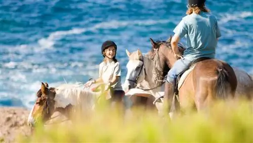 Ками де Кавальс