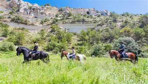 Ками де Кавальс