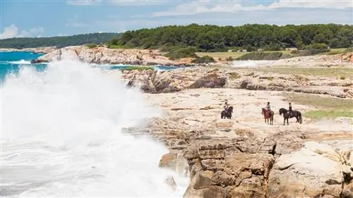 Маршруты по Менорке верхом на лошади