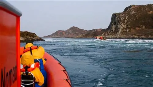 Будьте Сафари. Шотландия