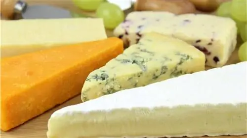 Самые вкусные сыры в мире