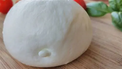 сыр моцарелла