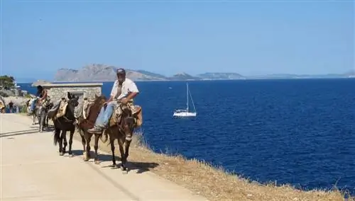 Что нельзя пропустить во время поездки на греческие острова