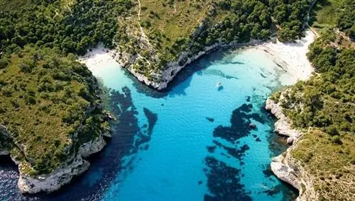 Кала Макарелла