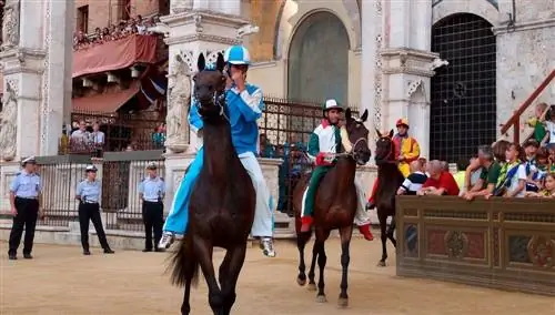 Палио ди Сиена