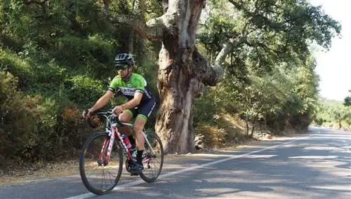 Маршруты велотуризма. Кастельон-де-ла-Плана